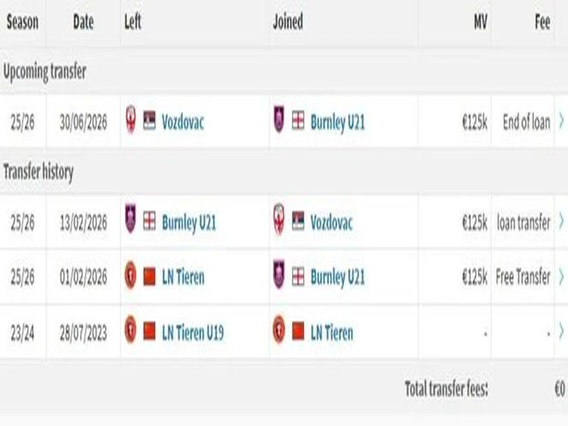 官方:18岁中国前锋张家鸣自伯恩利租借至塞尔维亚沃日多瓦茨